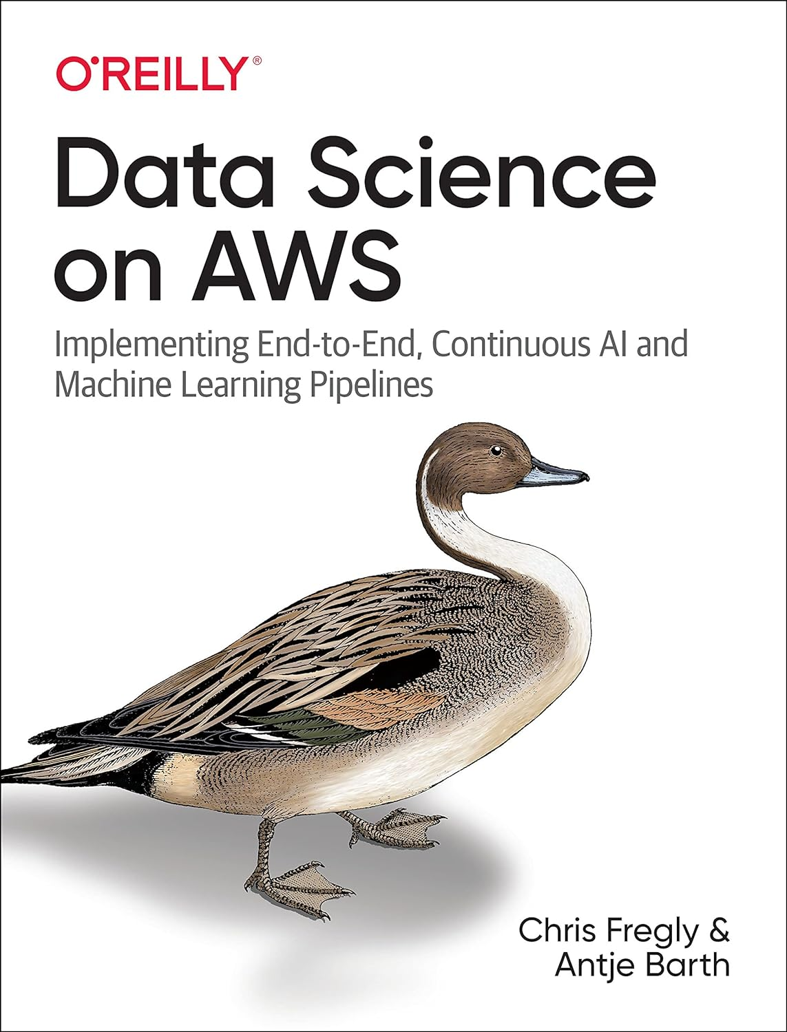 Data Science on AWS: Implementing End-To-End, Continuous AI and Machine Learning Pipelines image number 1