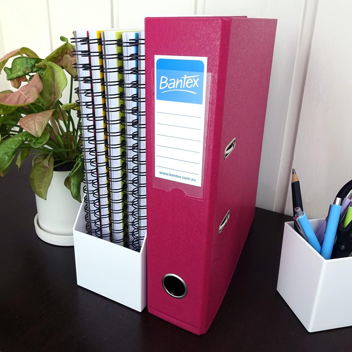 Bantex, Fruits Lever Arch, File, PVC, A4, 70Mm, Grape [Item No. 100851505] image number 5