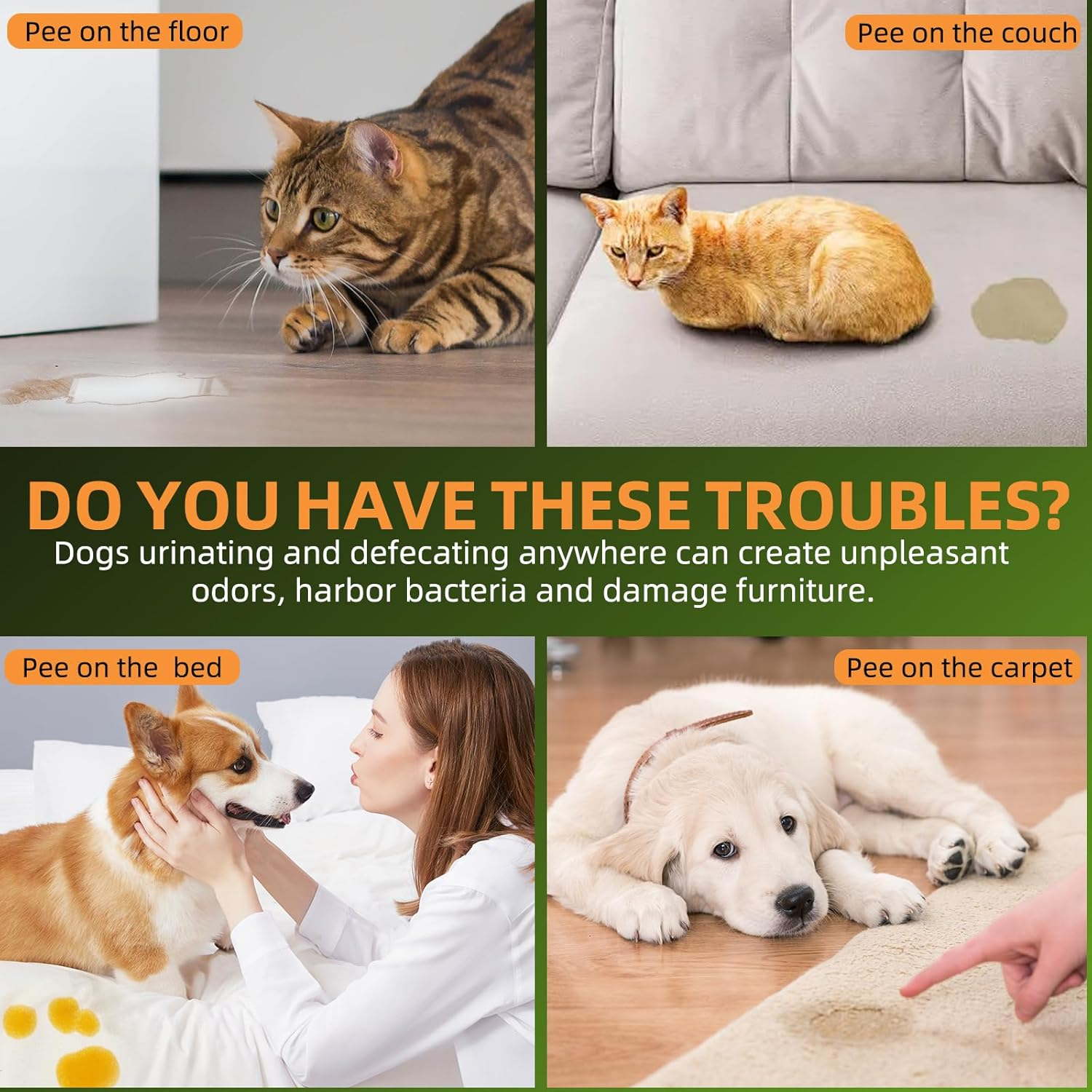 Dog Potty Training Spray,Pee Here Spray for Dogs Cats Indoor & Outdoor,Spray to Train Your Dog to Defecate in One Place,Correct the Dog'S Cat'S Bad Defecation Behavior image number 4