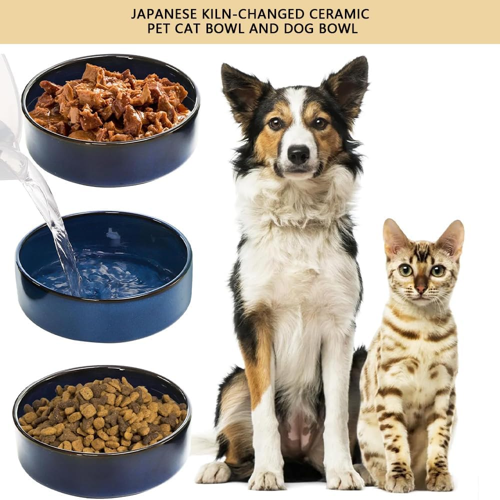 HYAVIA Ceramic Dog Bowl Set with Wooden Stand &ndash; 450 ML Non-Slip Food & Water Bowls for Small and Medium Dogs & Cats, Matte Glaze, Raised Slow Feeder Dish to Prevent Choking (Blue) image number 4