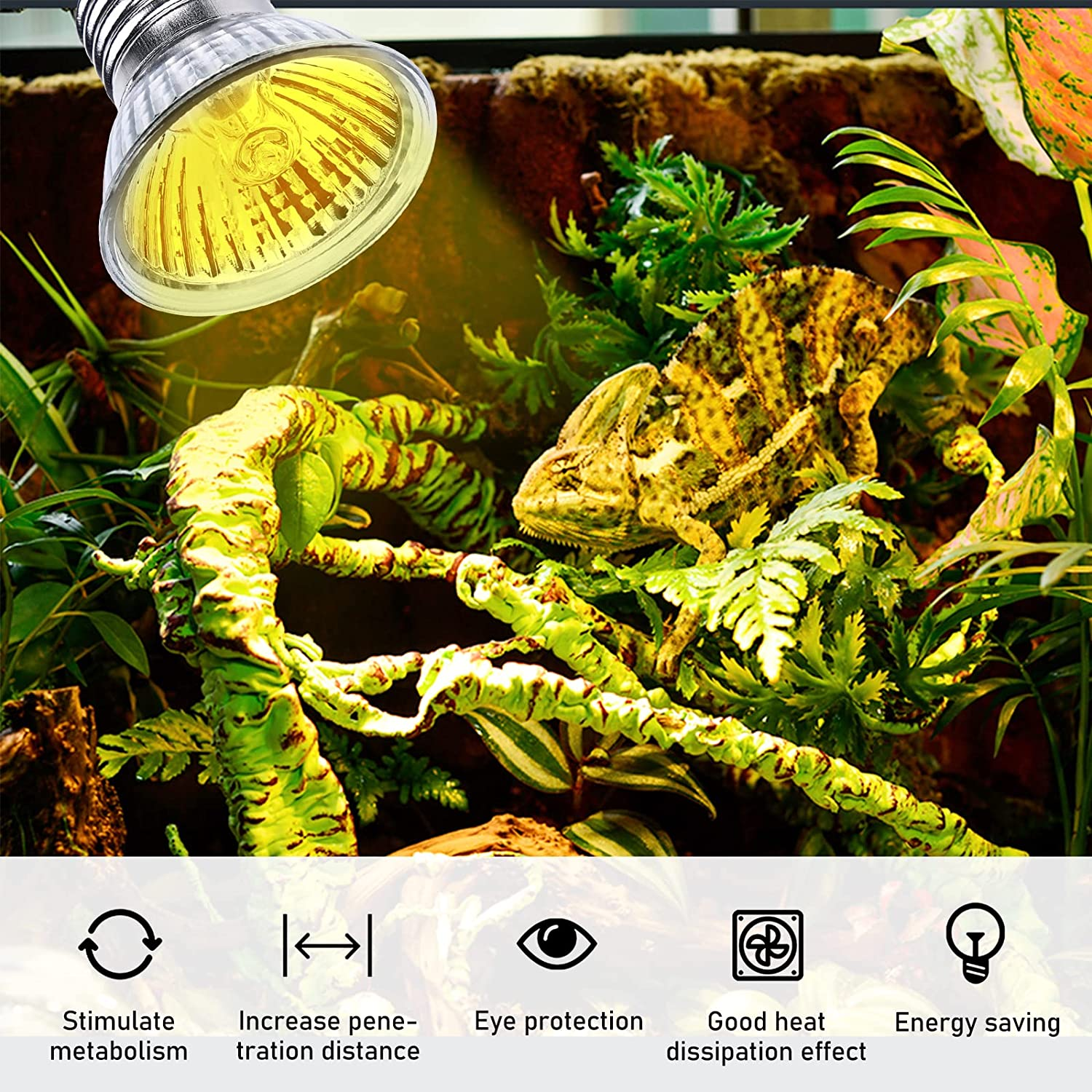 Turtle Heat Lamp, Pack of 6 Heating Bulbs, 50 W UVA UVB Dimmable Halogen Bulb, E27 Heat Spot Lamp, 220-240 V Pet Heating Lamp for Lizards, Aquarium Reptiles, Turtles (Heat Lamp)