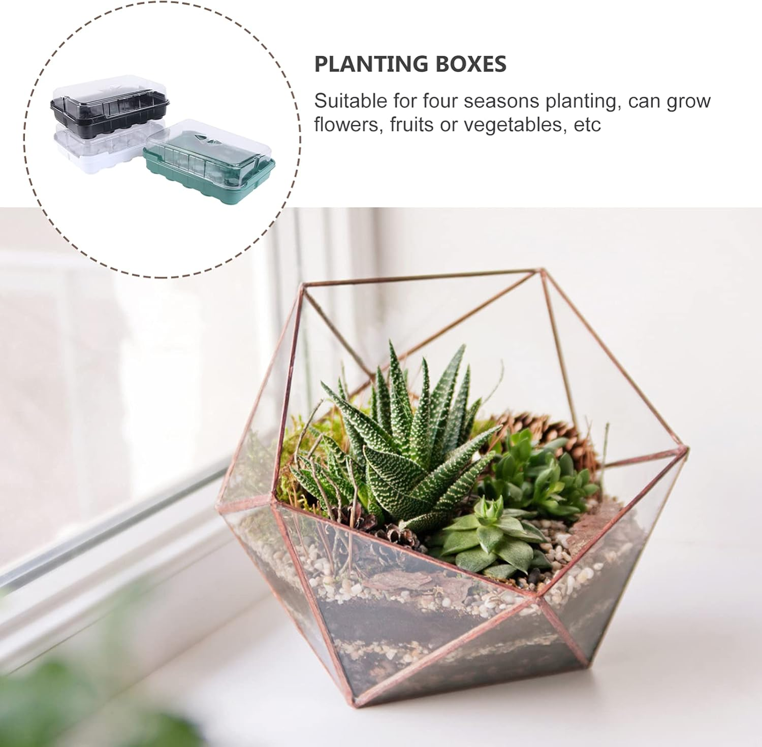 3 Sets Seedling Tray Hydroponic Grow Tray for Garden for Planting Seeds and Sprouting Kit image number 1