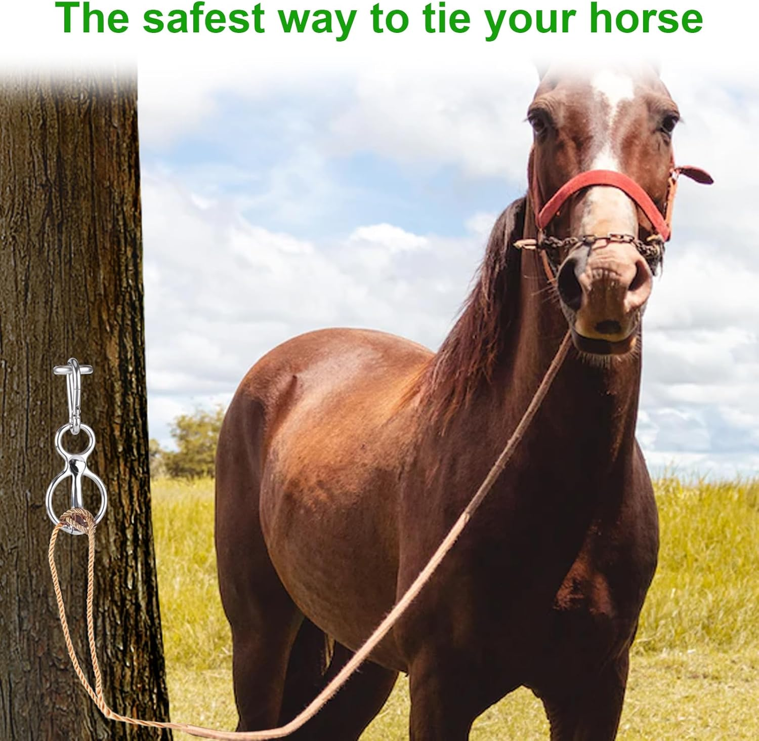 Horse Tie Ring, Stainless Steel Tie Ring for Horses Safe Horse Tack Supplies with Eye Bolt and Snap Prevents Horse Pulling Back image number 5