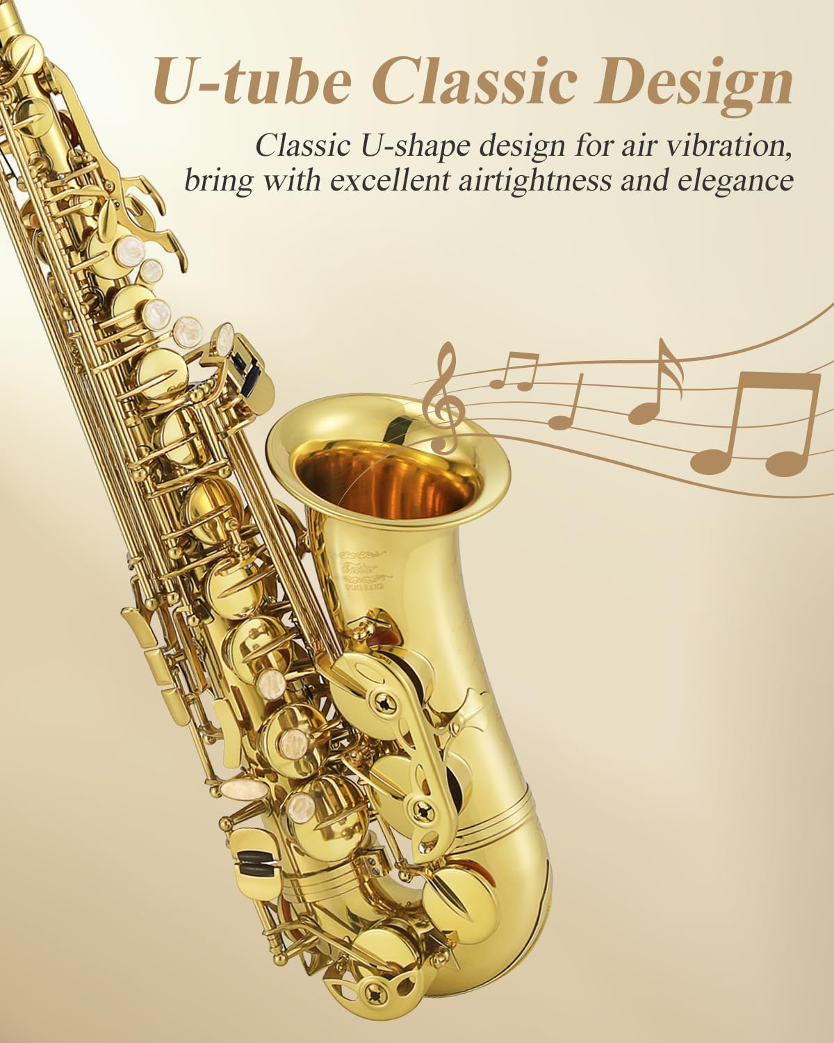 Eastar Professional Alto Saxophone E Flat Eb Gold with Cleaning Cloth, Carrying Case, Mouthpiece, Neck Strap, Reeds and Stand, Full Kit, AS-Ⅲ image number 3