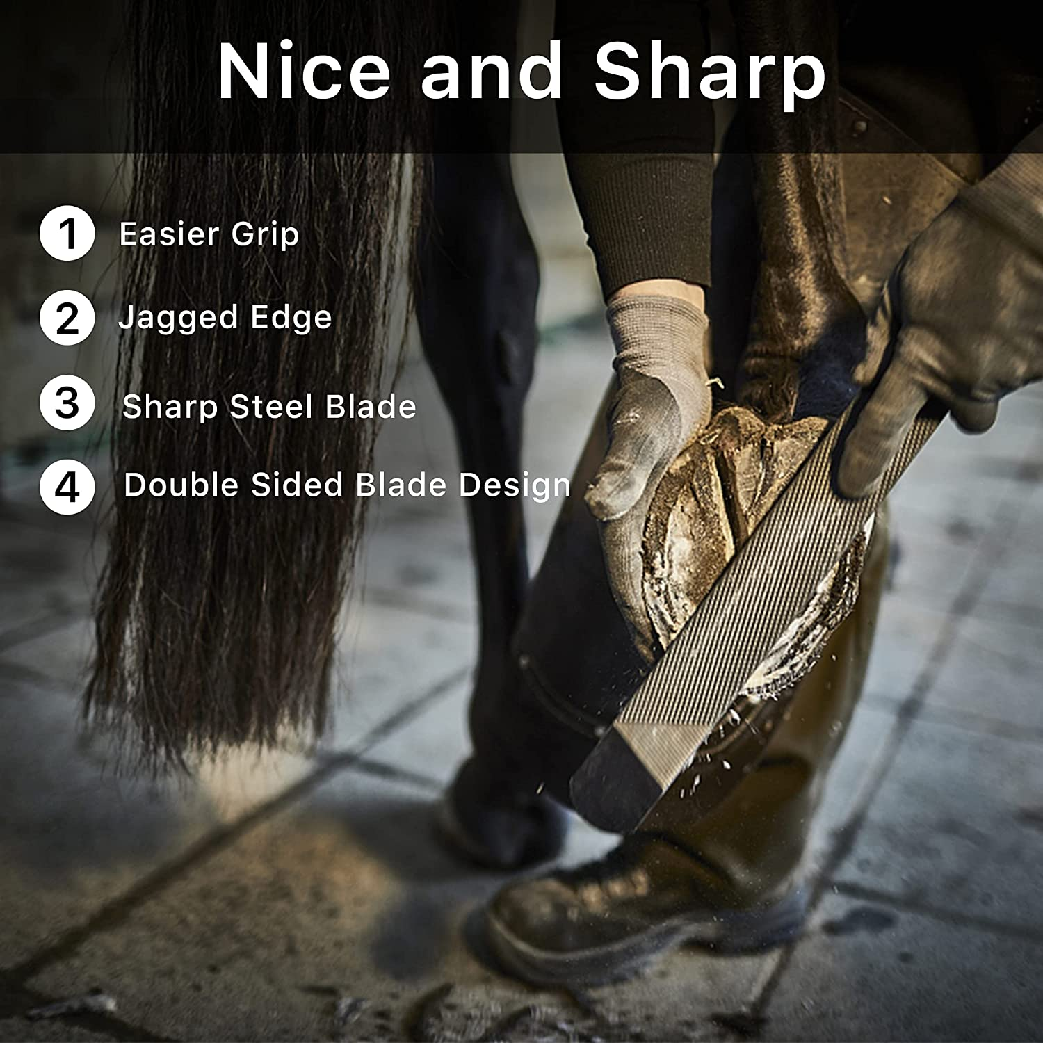 Horseshoe File 14 Inches, Horse Rasp and File with Handle for Horse Hoofs, Hoof Trimming Tool for Repairing Horse Goat Pig Hooves image number 2