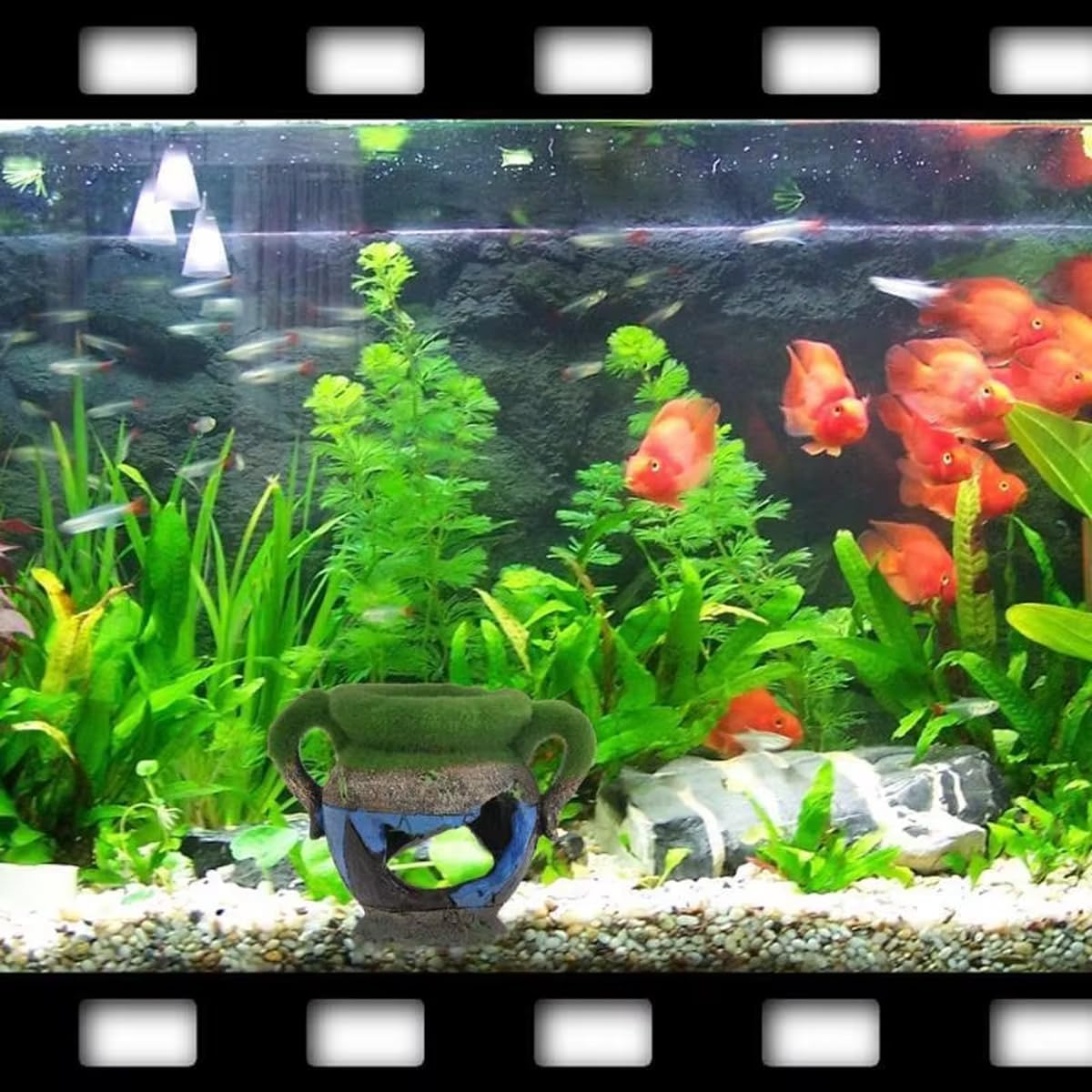 AIMALL Aquarium Moss Vase Landscape Decoration, Resin Fish and Shrimp Hiding Nest, Simulated Moss Flower Pot, 4.33 X 3.54 Inches for Aquarium Tank