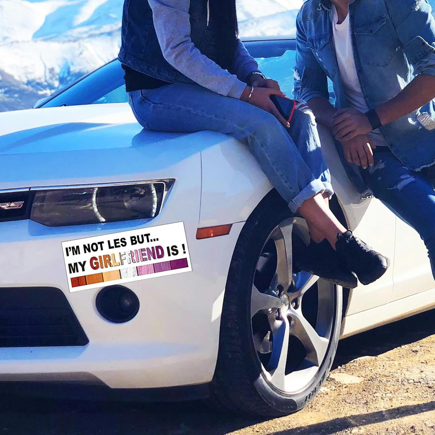 Funny Gay Pride Stickers, LGBTQ Bumper Stickers Decal Waterproof Rainbow Decals for Car, RV, SUV, Auto, Truck, Boat, Laptops Decoration 10Pcs (B) image number 1