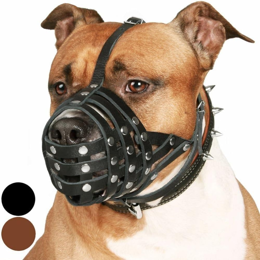 Collardirect Pitbull Dog Muzzle Leather Amstaff Muzzles Staffordshire Terrier Secure Basket (Black) image number 1