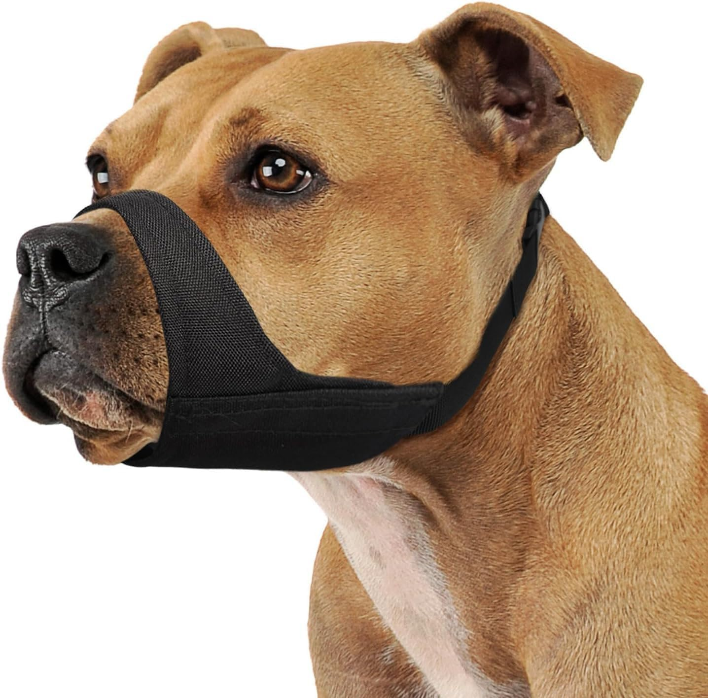 Short Snout Dog Muzzle, Small Muzzle for Chihuahua Shih Bully Boxer Puppy, Soft Fabric Muzzles for Grooming Vet Visits, Prevent Biting Chewing Fighting (Black, L)