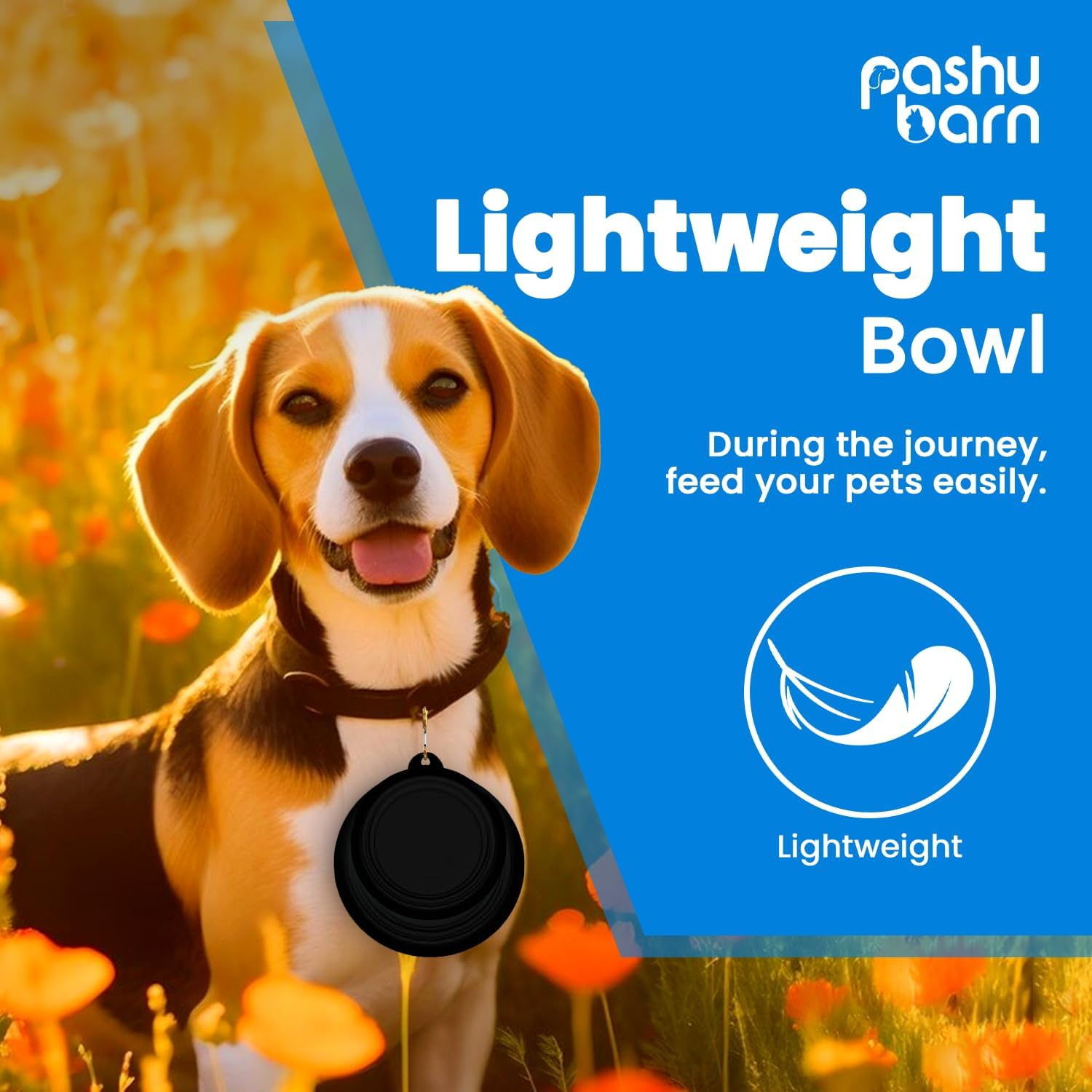 Set of 2 Collapsible Dog Bowls for Food & Water - Extra Large 1000Ml and Small 350Ml- Portable, Foldable Travel Dishes with Leash Attachment - Ideal for Puppies - Black (XL) & Black (Small) image number 2