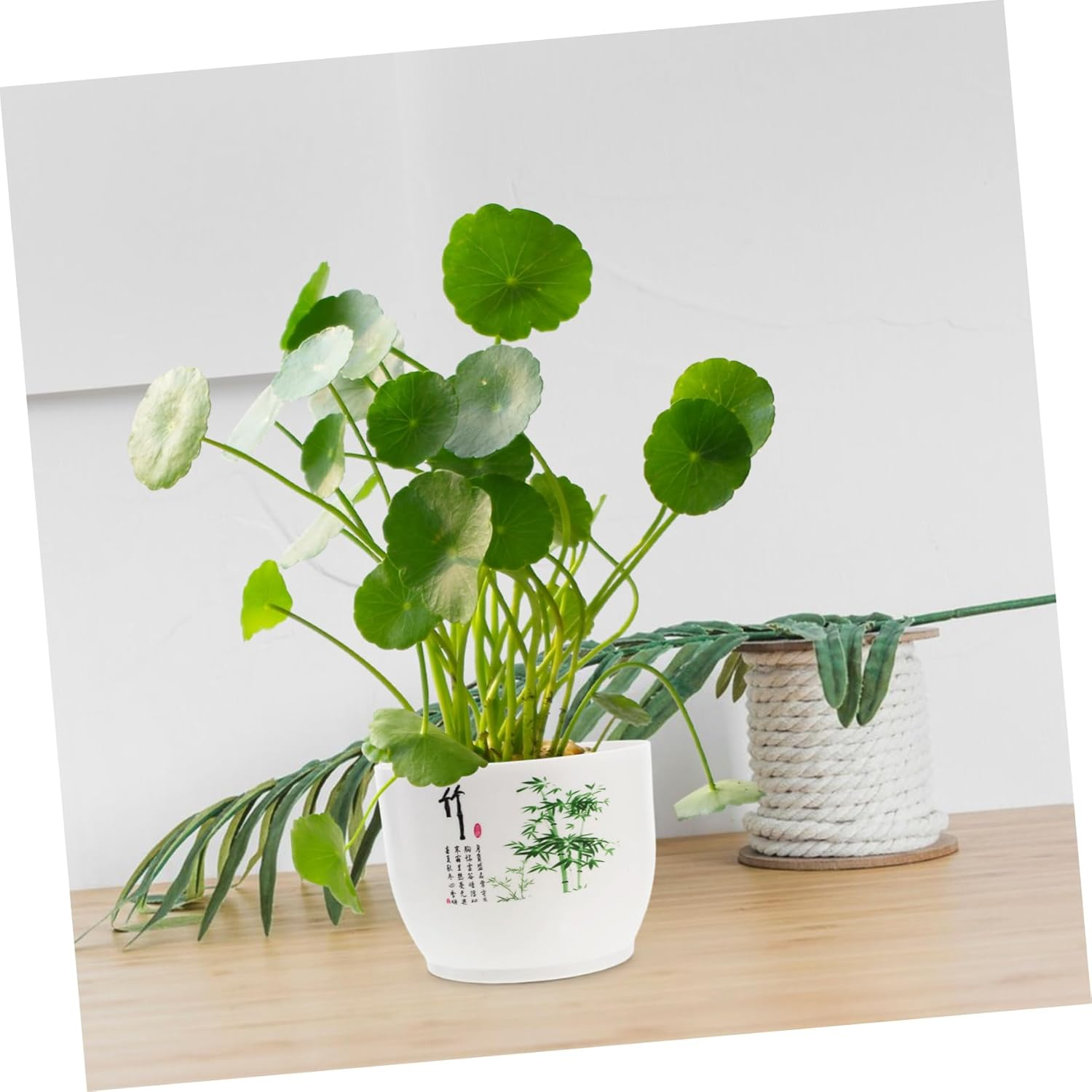 Sosoport 2Pcs Hydroponic Planter Bowl Home Gardening Pot Plastic Daffodil Pot for Indoor Outdoor Use - Green image number 2