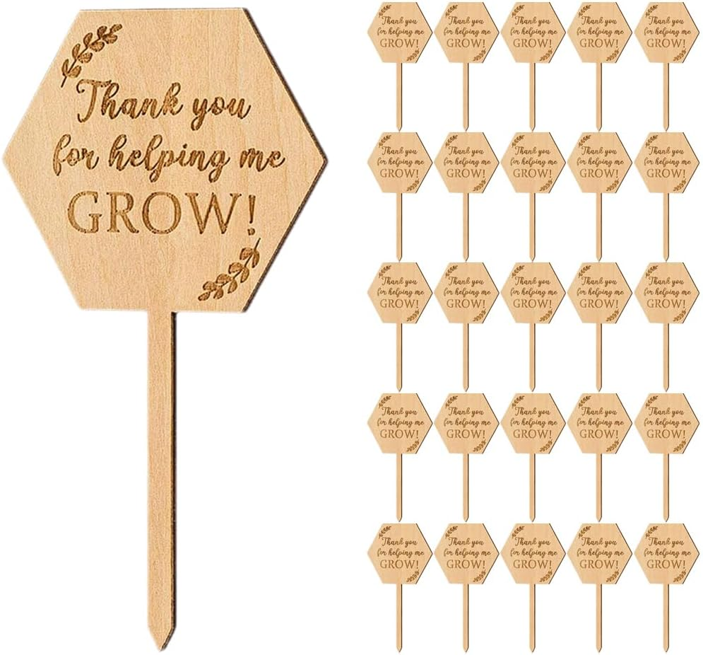 BESPORTBLE Plant Labels Plant Tags: 40Pcs Wood Plant Markers Thank You for Helping Me Grow Succulent Tags Teacher Appreciation Wooden Nursery Garden Labels for Vegetable Potted Plants image number 6