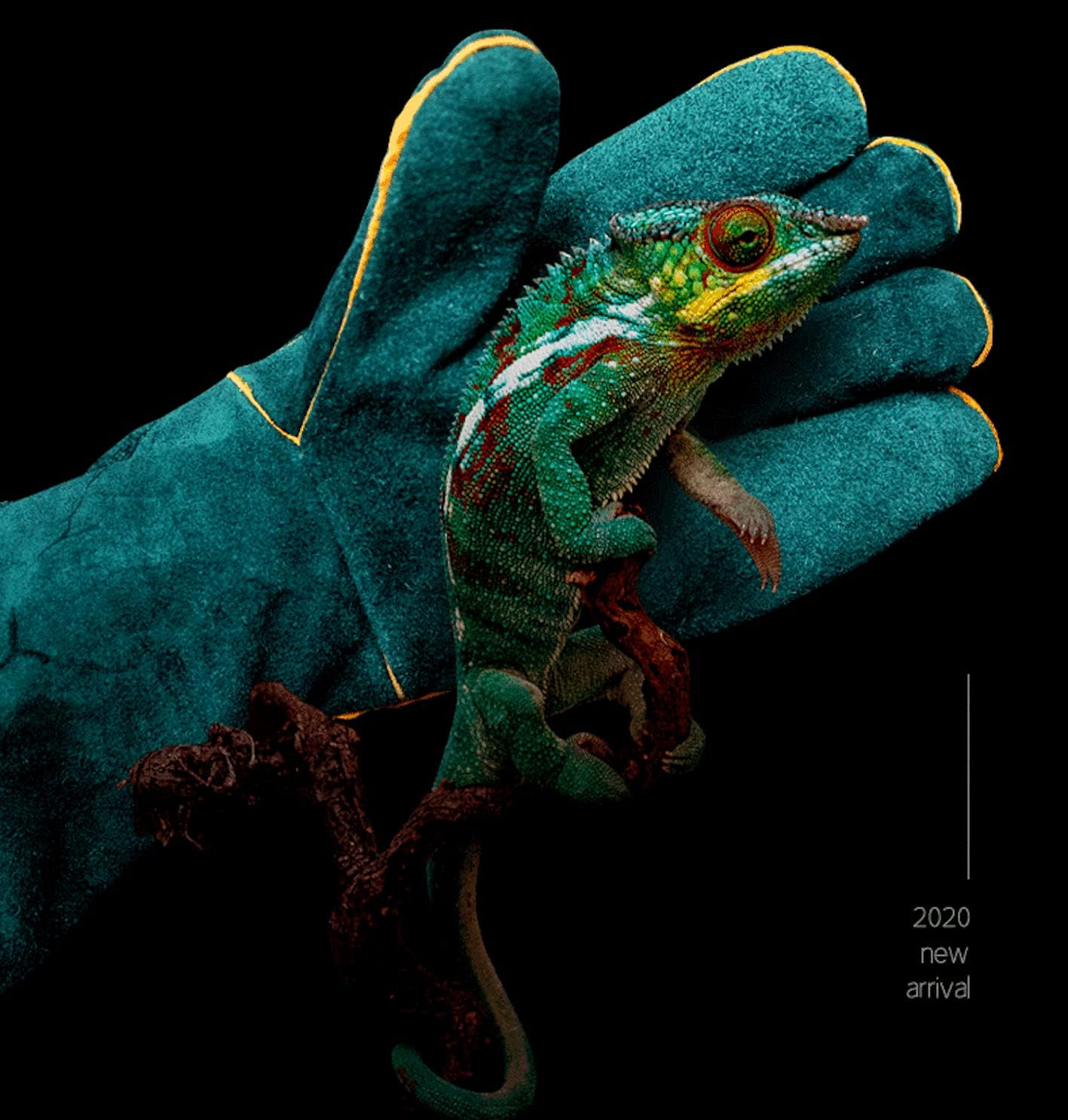 Anti-Scratch/Bite Protective Cowhide Reptile Handling Training Gloves Green image number 4