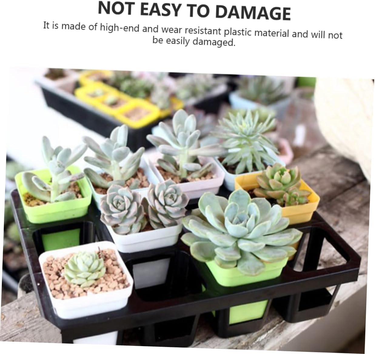 24-Cell Seedling Germination Tray Rack for Succulents and Plants, 2Pcs Black Plastic Starter Tray 7Cm Pots, 43X29X5Cm Gardening Nursery Boxes for Indoor and Outdoor Plant Growth image number 5