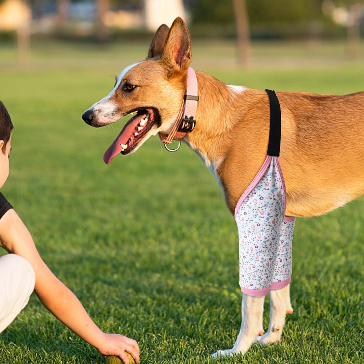 Dog Elbow Sleeve for Front Leg Calluses, Dog Elbow Protector Pads Dog Recovery Sleeve to Stop Licking, Adjustable Dog Elbow Wrap Sleeves, Dog Shoulder Brace Recovery Suit for Arthritis & Joint Care (XL, Pink Floral) image number 3