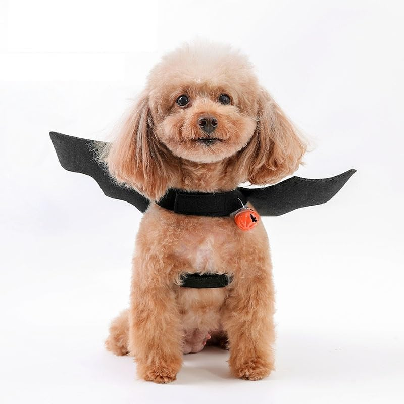 Dog Costume, Pet Bat Wings with Pumpkin Bells, Cat Dog Halloween Costumes, Party Dress up Funny Cool Apparel, Dog Clothes for Small Medium Large Dogs, Cosplay Puppy Outfit (Black, M)
