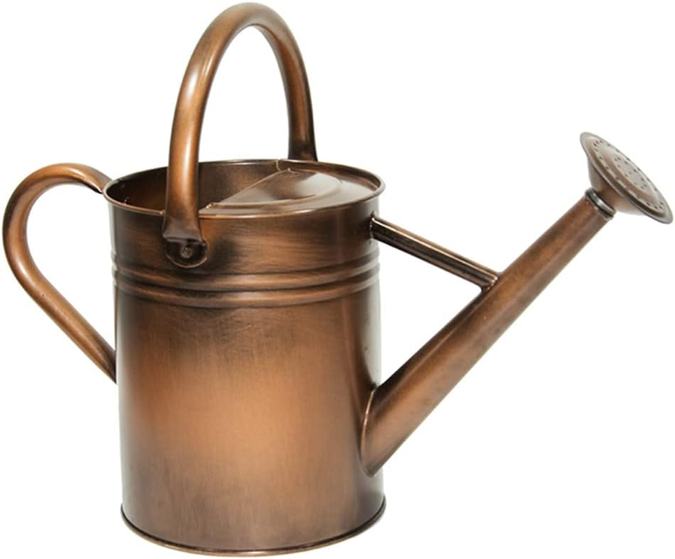 Sliver Galvanized Steel Watering Can with Copper Accents,Removable Rosette-Diffuser,One-Gallon