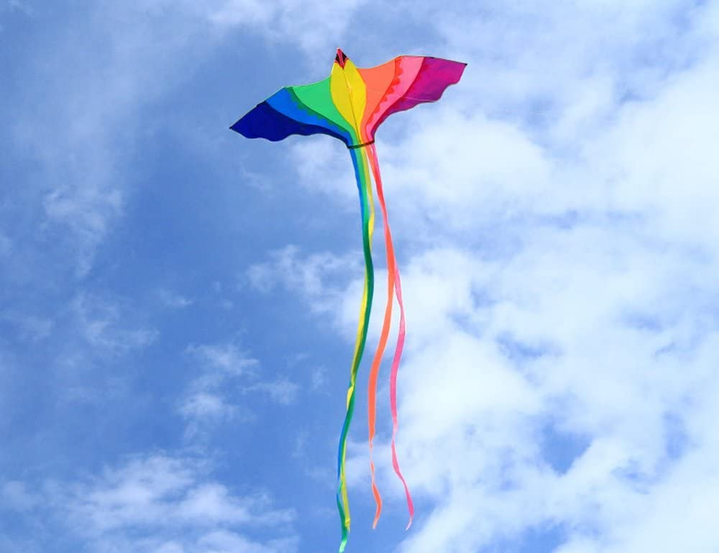HENGDA Kite-Strong Phoenix for Kids & Adults, with Long Colorful Tail!Huge Beginner Colorful Rainbow Bird Phoenix Kites 74-Inch Come with String and Handle image number 1