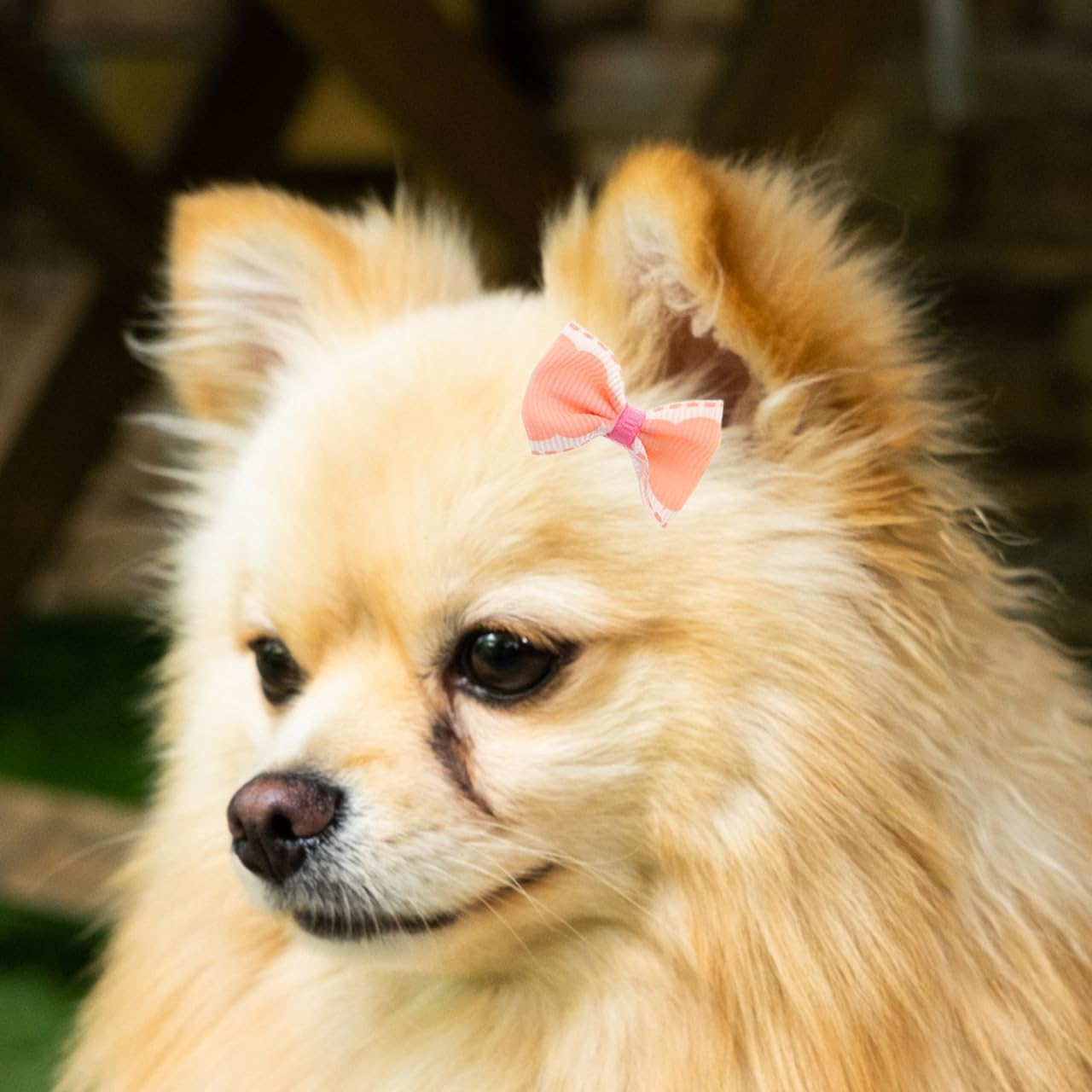 Ipetboom Dog Hair Accessories 30Pcs Small Bowknot Hair Clips with Alligator Clips for Puppy and Cat Grooming Cute Pet Bows for Daily Wear and Special Occasions image number 5