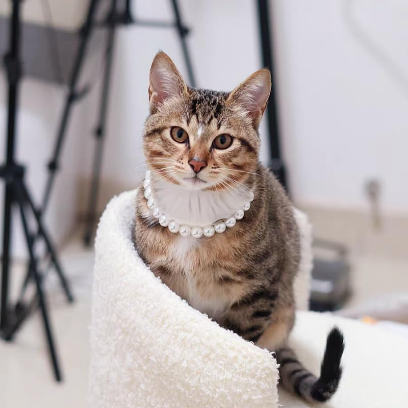 Exquisite and Adjustable Dog Necklace: Elegant Classic Pearl Collar Necklace Accessories for Dogs, Occasions and Gatherings (Style1, One Size) image number 6