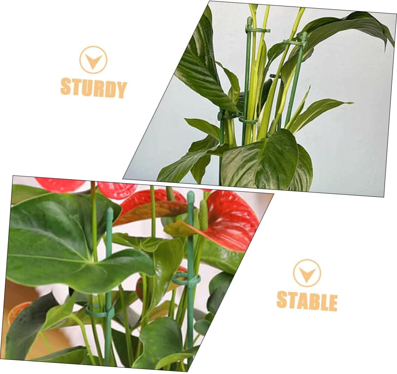 Yardenfun 12Sets Plant Support Stakes Single Stem Support for Flowers and Tomatoes Garden Supplies Garden Stake image number 2