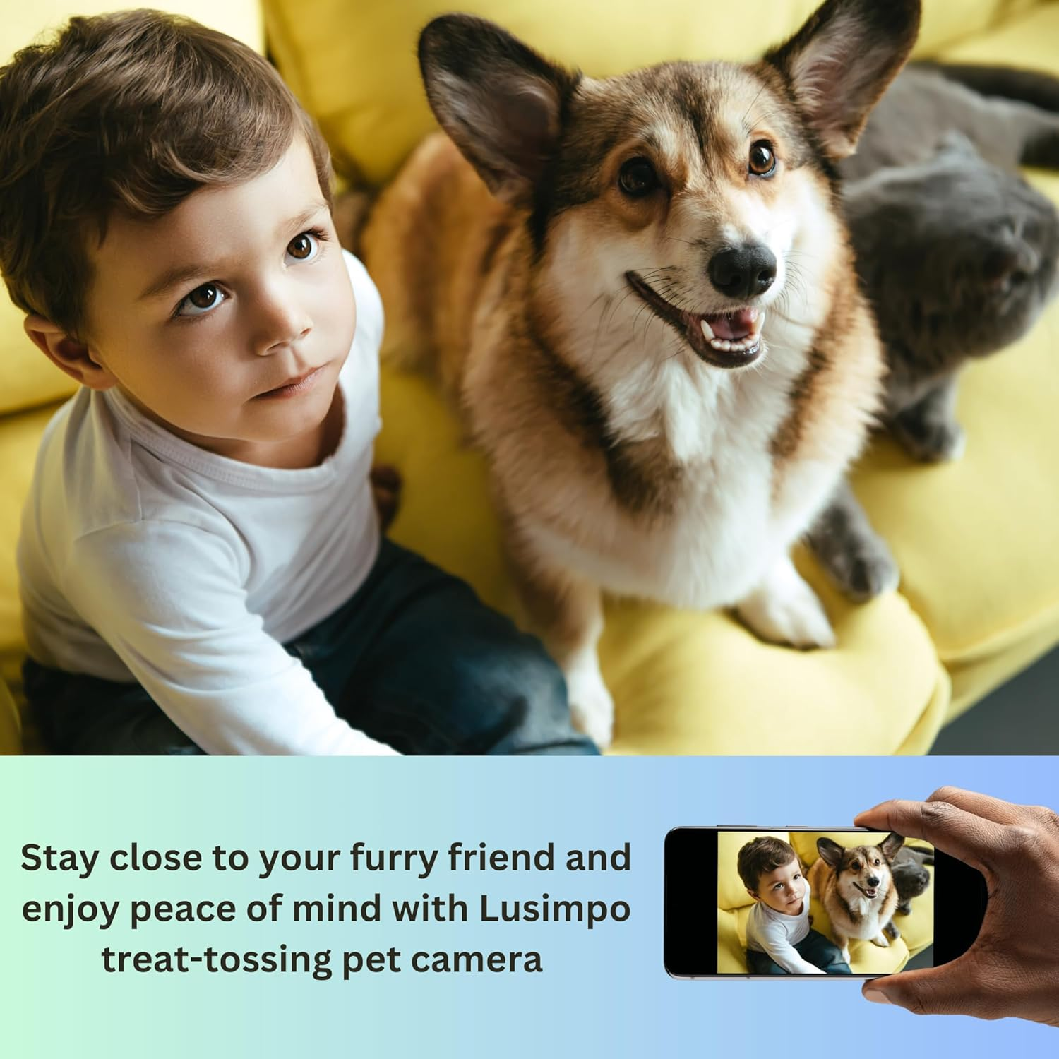 Pet Camera with Treat Dispenser, Tossing for Dogs/Cats, Wifi, 1080P Camera, Live Video, Auto Night Vision, 2-Way Audio, Compatible with Alexa & Google Home, No Monthly Fee image number 6