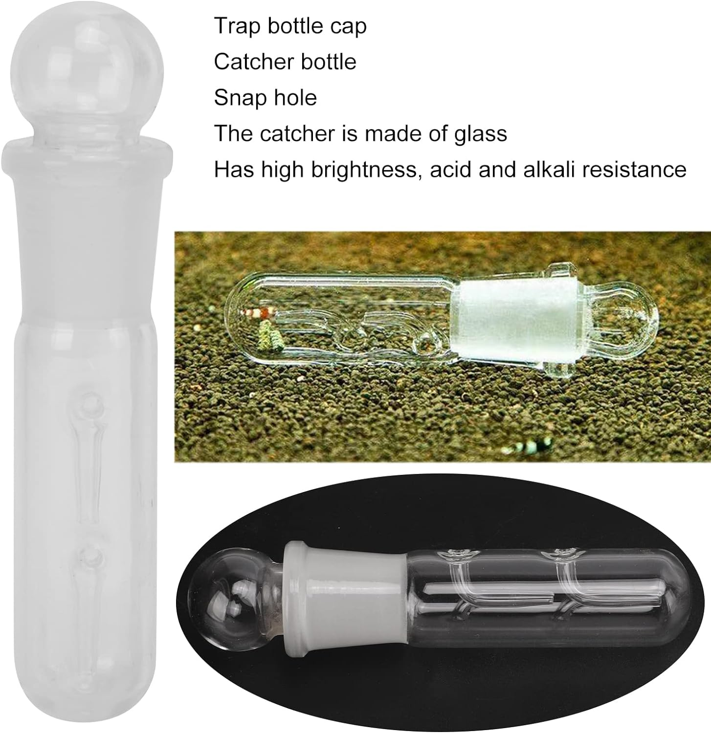 Planaria Trap, Clear Glass High Brightness Planar Leech Trap Tube Red Shrimp Crystal Cherry Shrimp Dwarf Shrimp image number 2