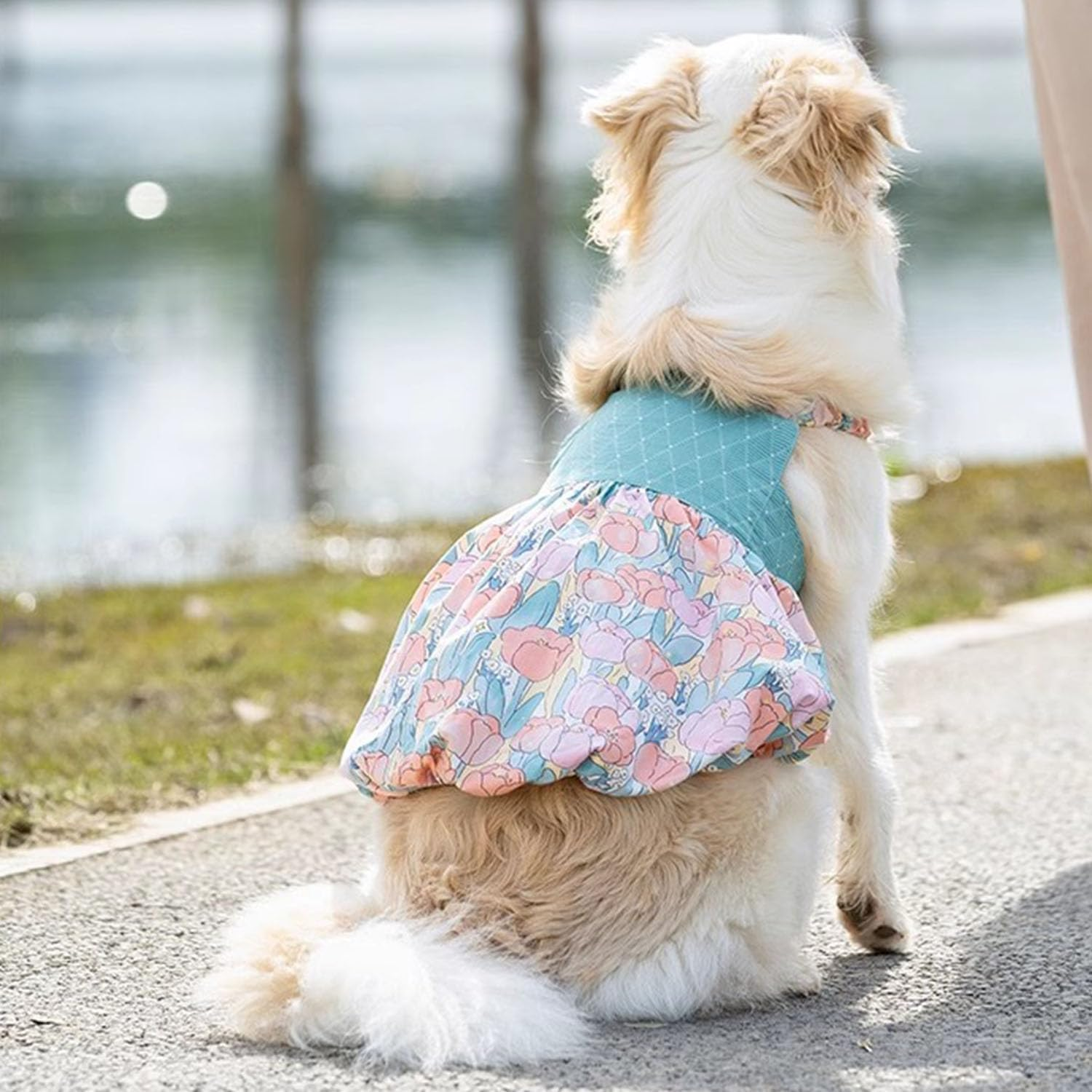 Dog Dress for Small Large Dogs,Floral Dog Wedding Dress Birthday Easter Dresses,Spring Summer Dog Clothes (Blue, M)