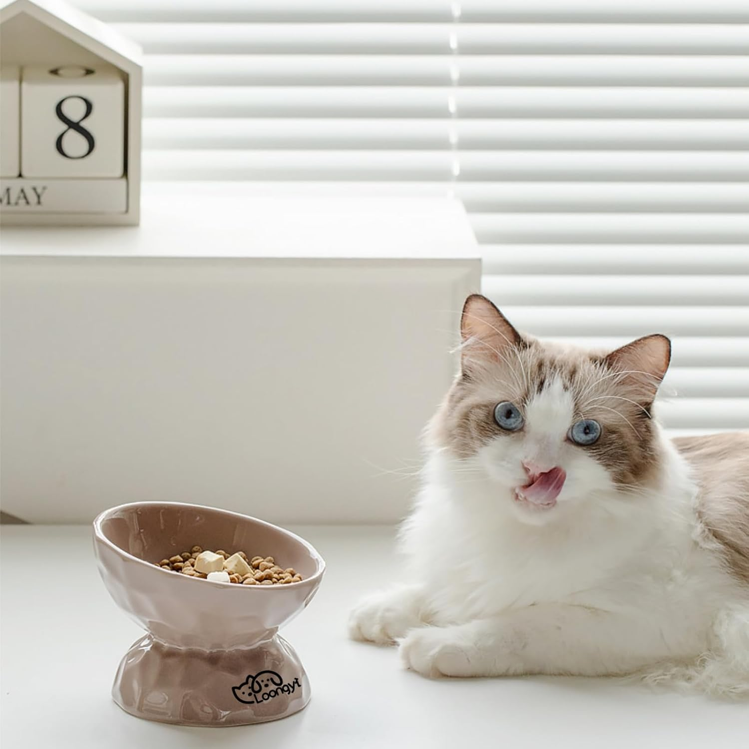 Ceramic Elevated Cat & Dog Bowl - 15&deg; Slanted Design for Cervical Health, Anti-Tip Diamond Texture Pet Food Dish, Stylish and Easy-To-Clean Feeding Bowl