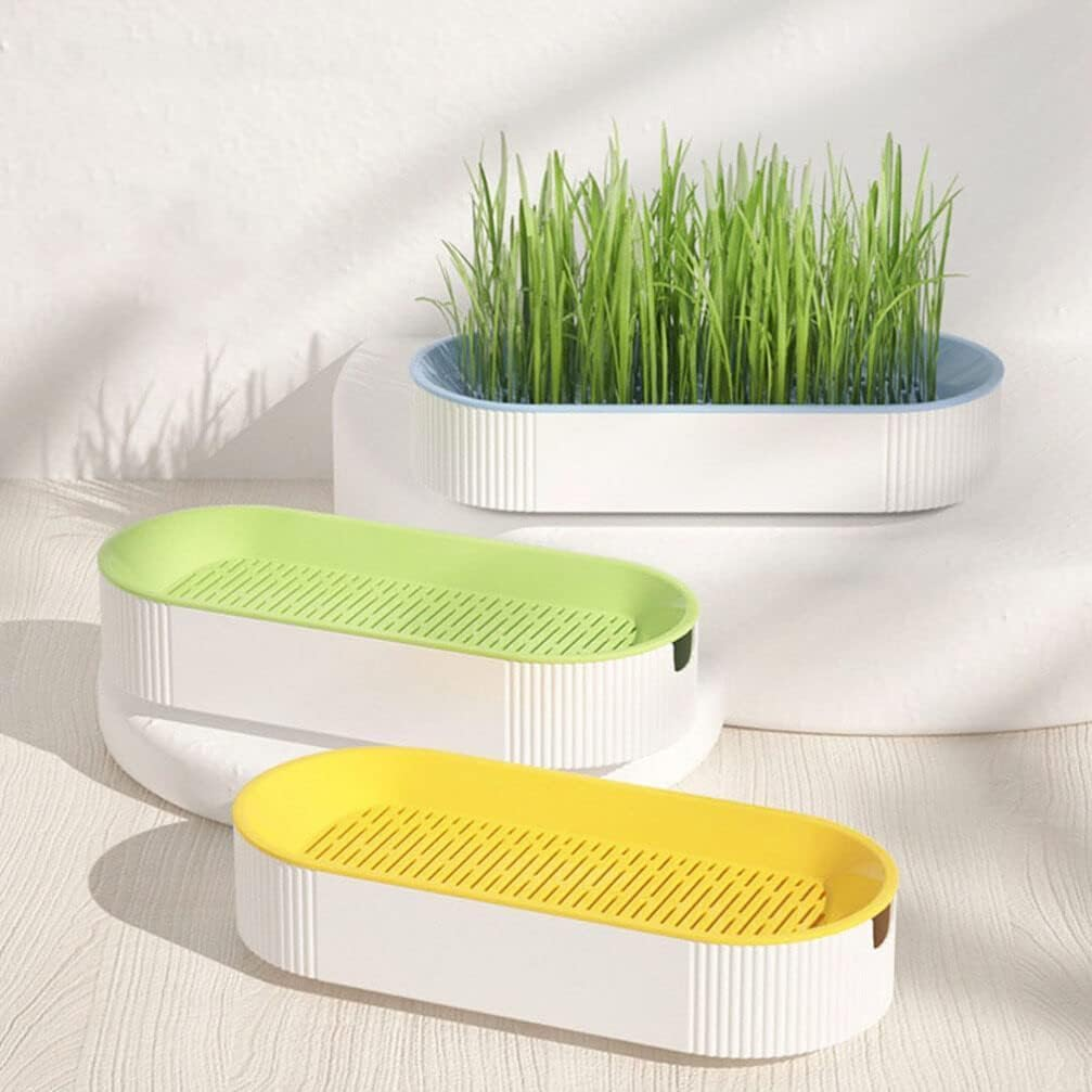 3 Pcs Cat Grass Planter, Hydroponic Cat Grass Planter,Planting Box,Soilless Culture Growing Kit, Nursery Planting Box for Indoor, (Yellow Green Blue) image number 4