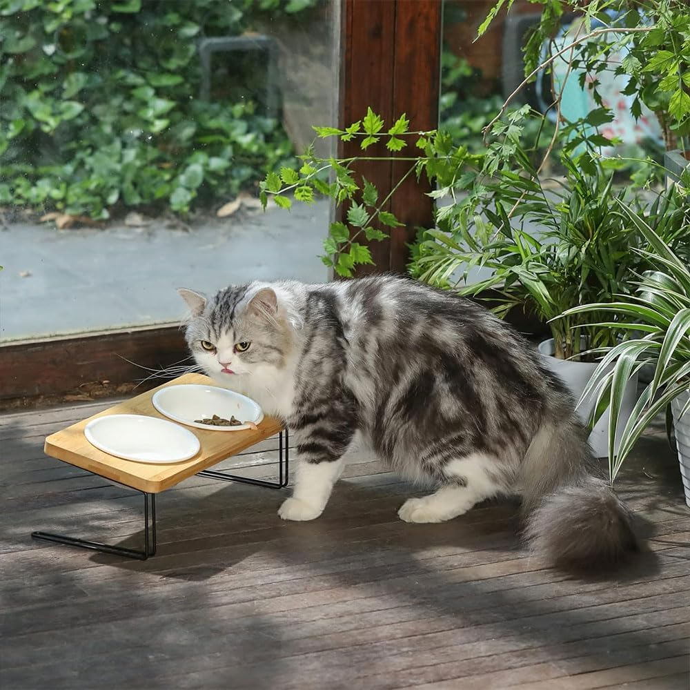 Elevated Ceramic Cat Bowls with 15&deg; Tilted Solid Bamboo Stand &ndash; Raised Food & Water Feeder Set for Cats & Small Dogs, Anti-Vomit Non-Slip Design image number 4