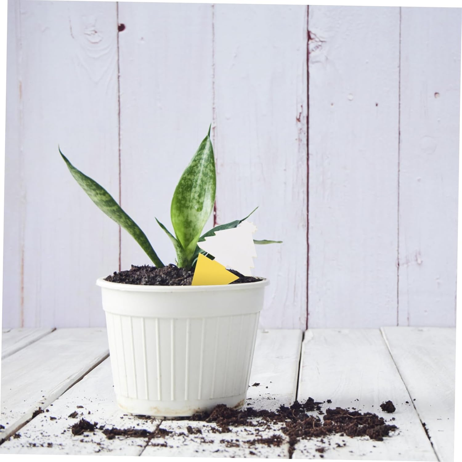 30Pcs Garden Board Orchard Dual-Sided Trap Boards for Indoor and Bugs Catching Tools image number 5