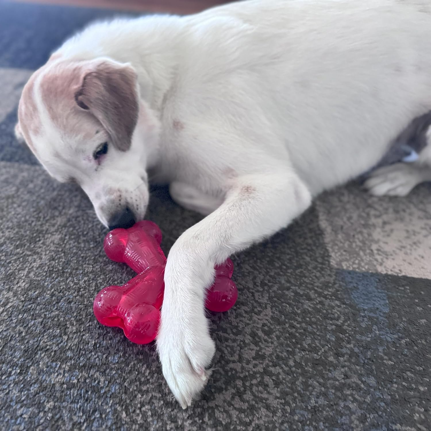 SPOT by Ethical Products - Play Strong - Trident Bone - Dog Toy for Aggressive Chewers Interactive Durable Dog Toy Red 6-Inch image number 5