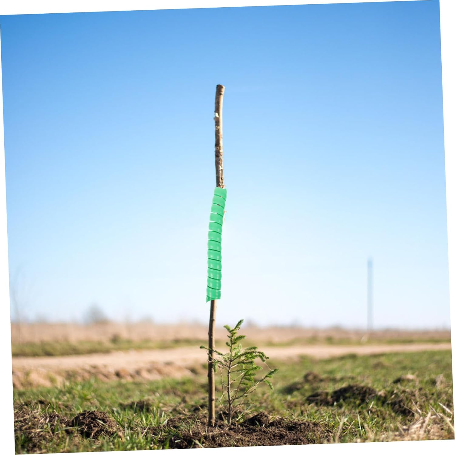 Yardenfun 4Pcs Tree Bark Protectors Tree Protector Wraps from Dogs Gardening Supplies Kit image number 6