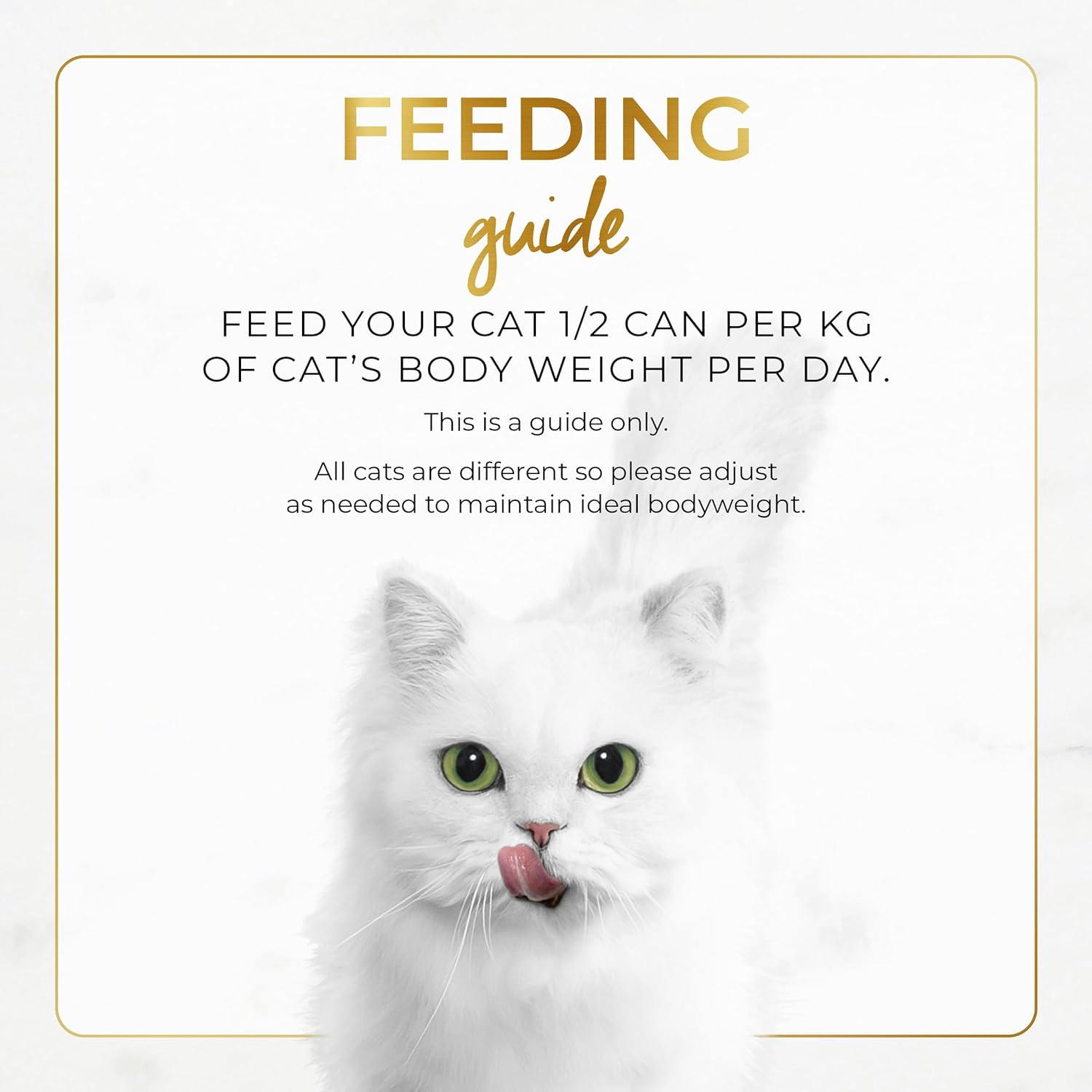 Fancy Feast Classic Pat&eacute; Senior 7+ Wet Cat Food Chicken Feast 24X85G image number 3