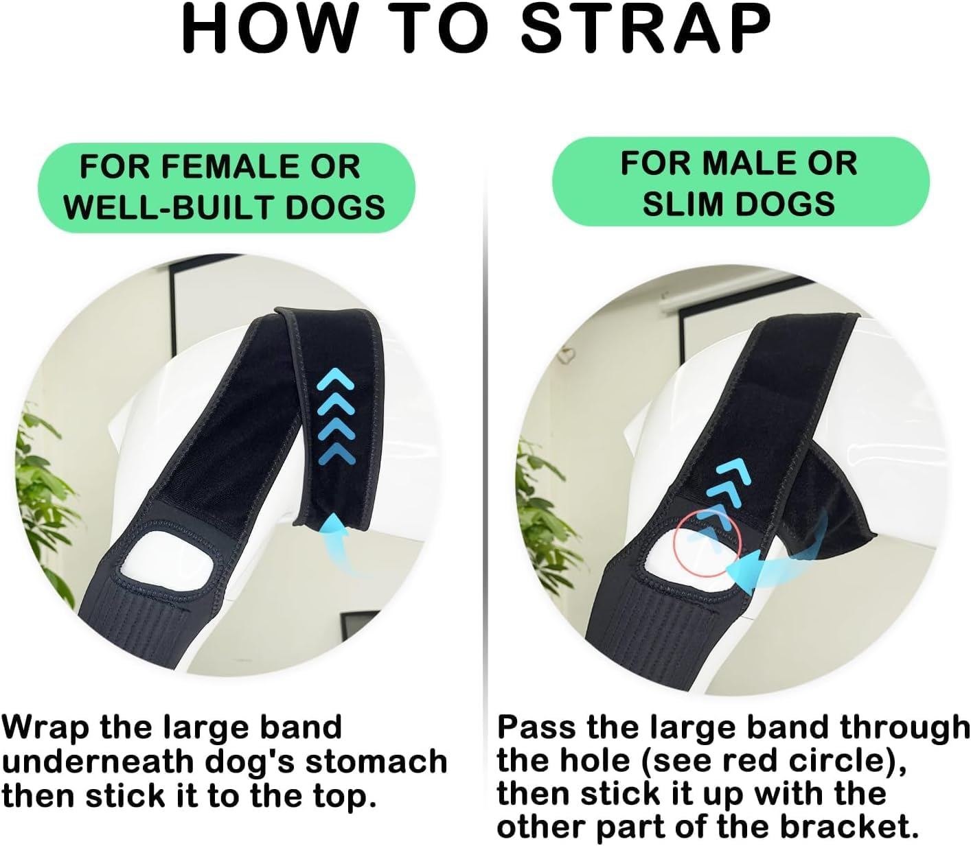 Dog Knee Brace with Side Stabilizers for Dog ACL, Adjustable Canine Shoulder Leg Hip Wraps for Arthritis & Torn CCL, Wound Care & Loss of Stability from Arthritis (M, Black) image number 6