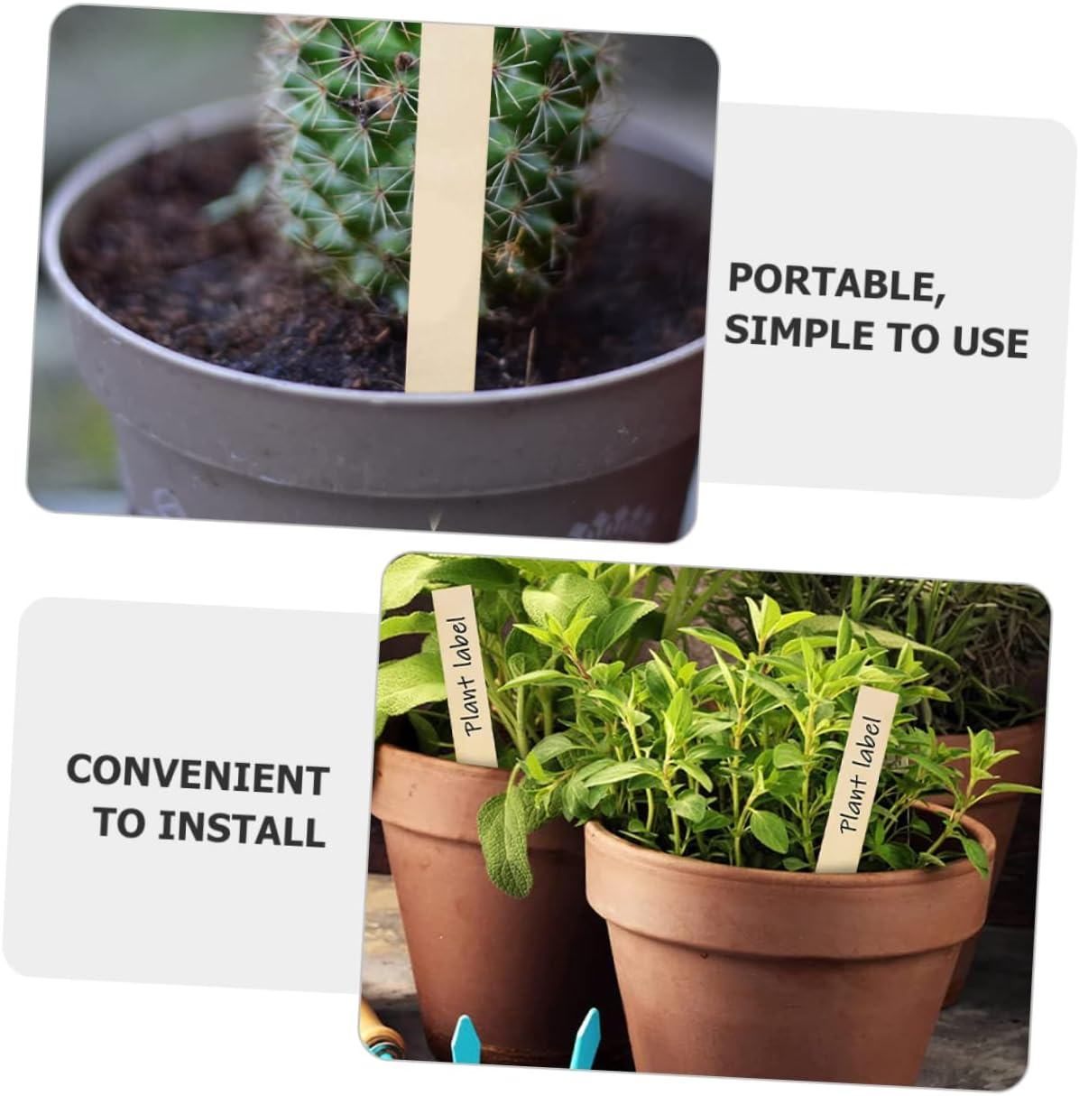 30Pcs Wooden Garden Markers Blank Plant Labels 2X15Cm Linden Wood Plant Name Tags for Flower Beds Succulent Garden Stakes for Outdoor Gardening image number 4