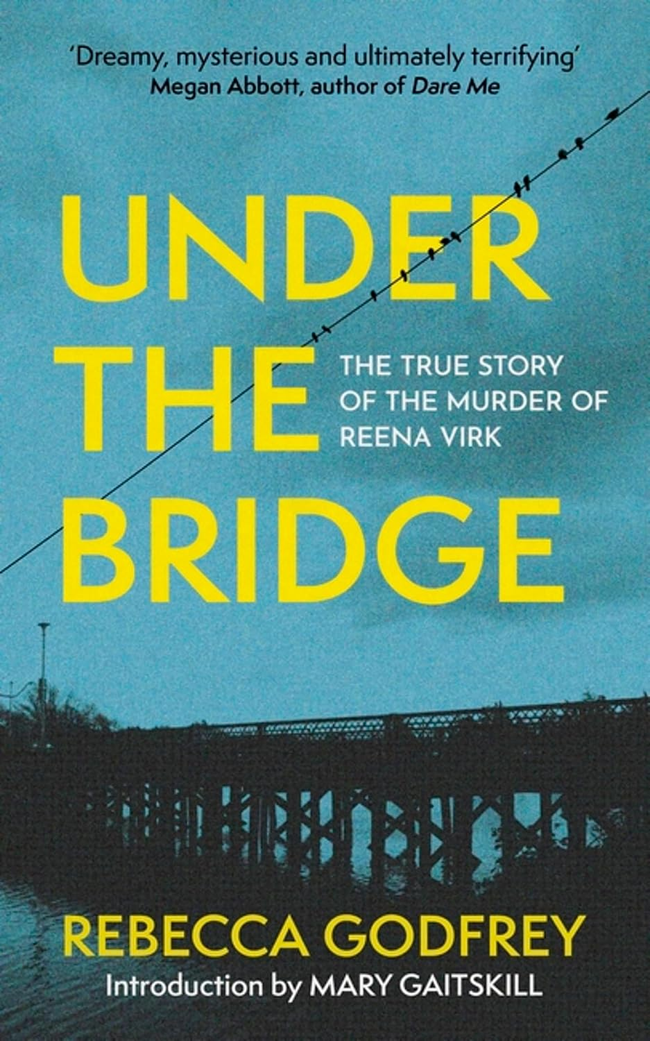 Under the Bridge: Now a Major TV Series Starring Oscar Nominee Lily Gladstone