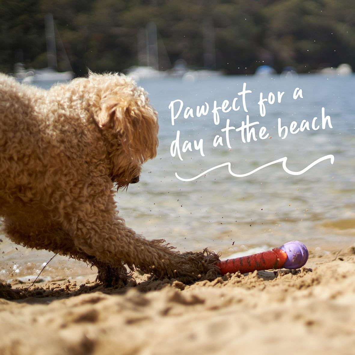 Kazoo Extreme Play Chew Stick, Large image number 4