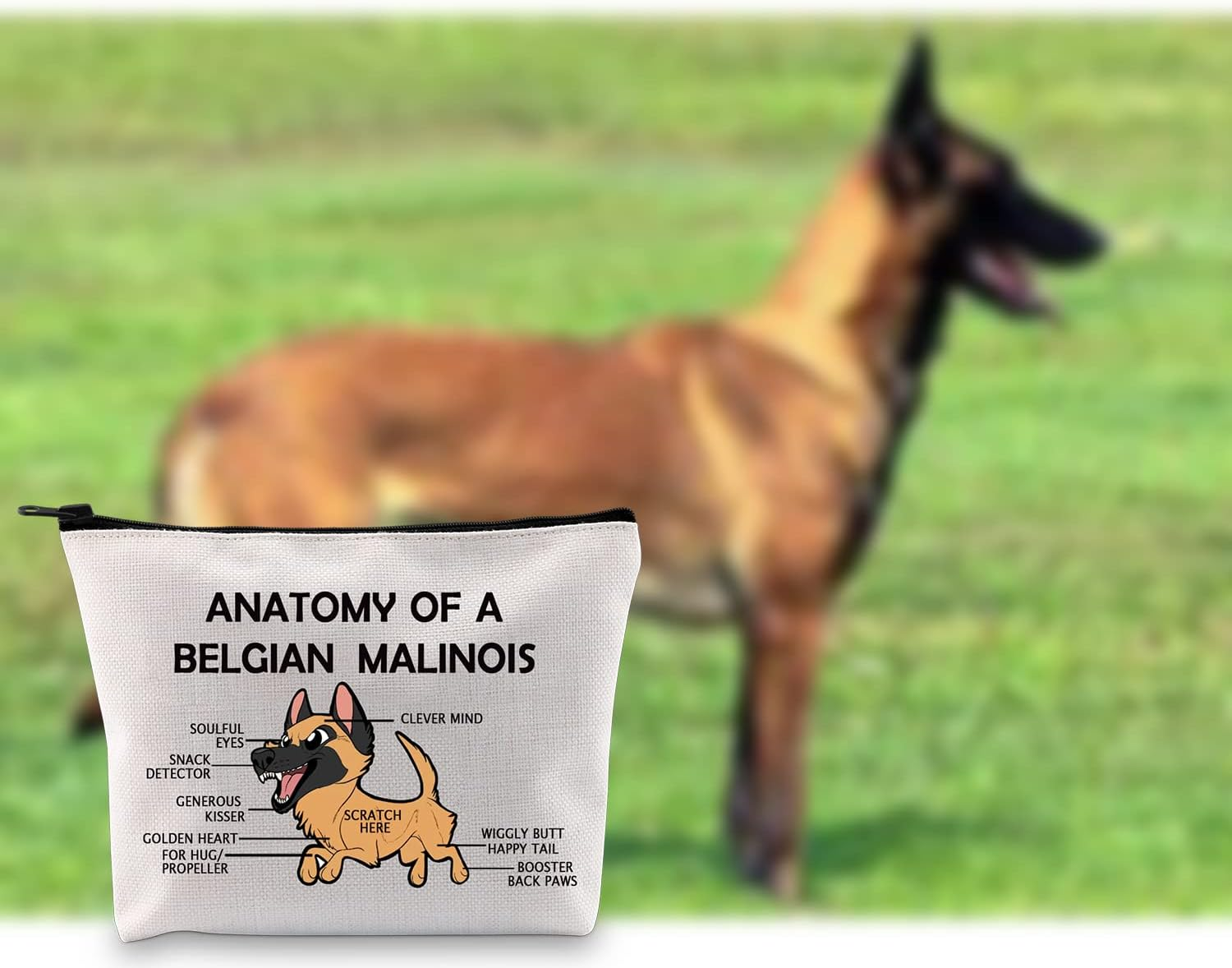 G2TUP Belgian Malinois Dog Lover Gift Anatomy of a Belgian Malinois Makeup Bag Belgian Malinois Mom Cosmetic Bag Dog Owner Zipper Travel Bag, Anatomy of a Belgian White Bag image number 5