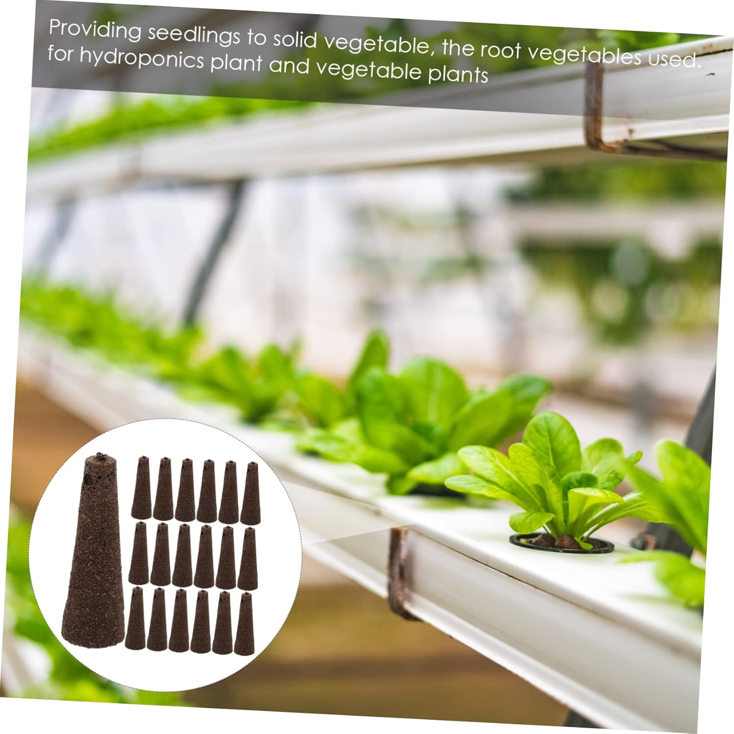 50Pcs Hydroponic Sponges Soilless Cultivation Planting Sponges for Root Growth Compatible with Smart Indoor Growers, Biochar Seed Starter Blocks for Balcony and Indoor Gardening image number 6