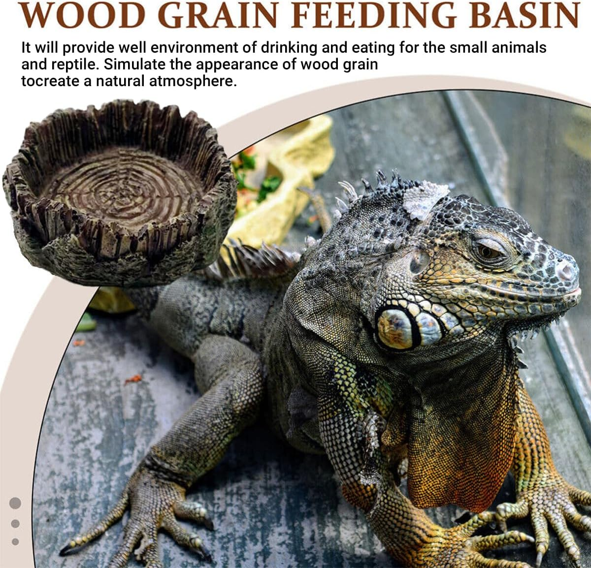 AIMALL Drinking Basin for Reptiles - Resin Turtle Dish for Turtles, Lizards, Snakes, and Other Pets, Functional Feeder and Decoration image number 3