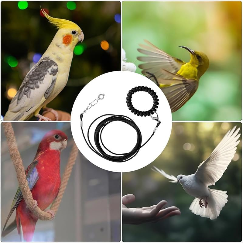 Wishlotus Parrot Flying Rope 3M - Ultra Light anti Bite Bird Flying Training Leash, Portable Parrot Foot Chain for Outdoor Flight Training, Pet Training Rope (Blue) image number 2