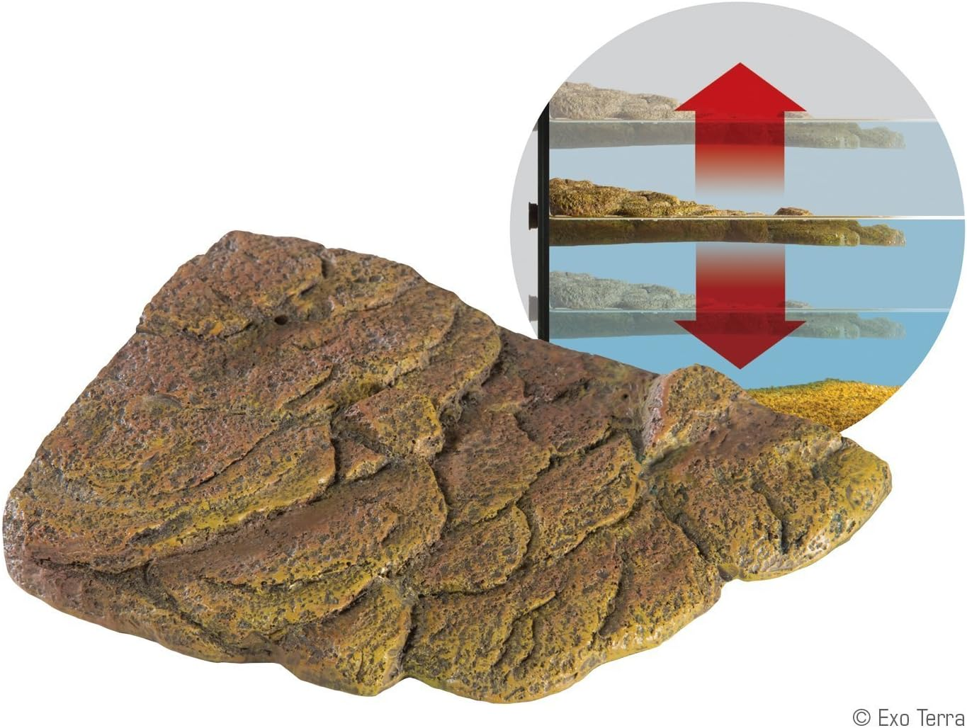 Exo Terra Turtle Bank - Small image number 6