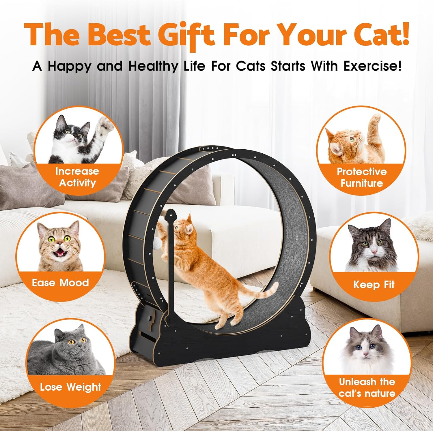 Advwin Cat Exercise Wheel 100Cm Cat Treadmill for Indoor Cats, 2 in 1 Cat Running Wheel with Teaser, with Locking Mechanism - Cat'S Weight Loss and Fitness image number 5