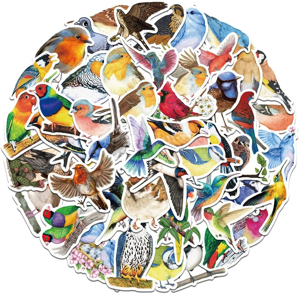 Colourful Bird Stickers 50 Pcs, Cartoon Birds Parrot Waterproof Vinyl Stickers for Laptop Phone Water Bottles Scrapbooking Journaling Guitar Skateboard DIY Decoration for Kids Teens