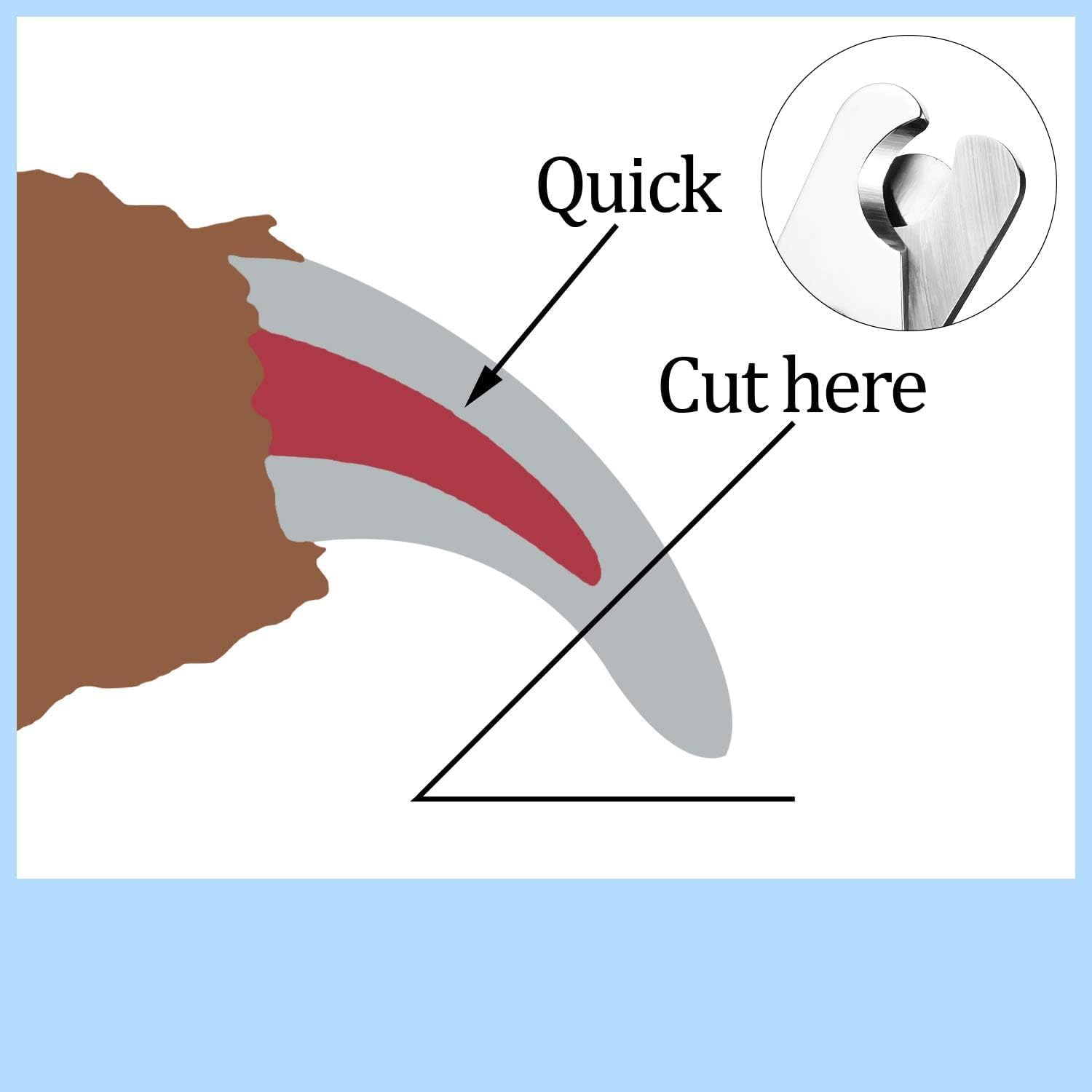 2Pcs Pet Nail Clipper,Pet Nail Clipper & Trimmers Dog Nail Trimmers with Safety Guard,Suitable for Small Animals Tiny Dog,Cat,Rabbit,Bird,Puppy,Kitten image number 3