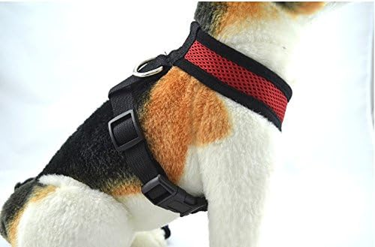 Extra Large Red Comfort Control Dog Harness (Red, S) image number 4