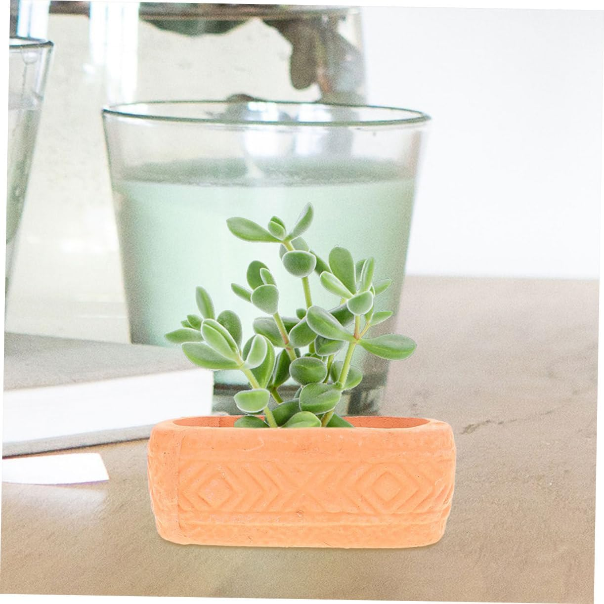 Mini Red Clay Ceramic Planter Pot with Drainage for Indoor Succulent Plants Nursery Grow Pot for Home Garden for Patio and Balcony Planting image number 3