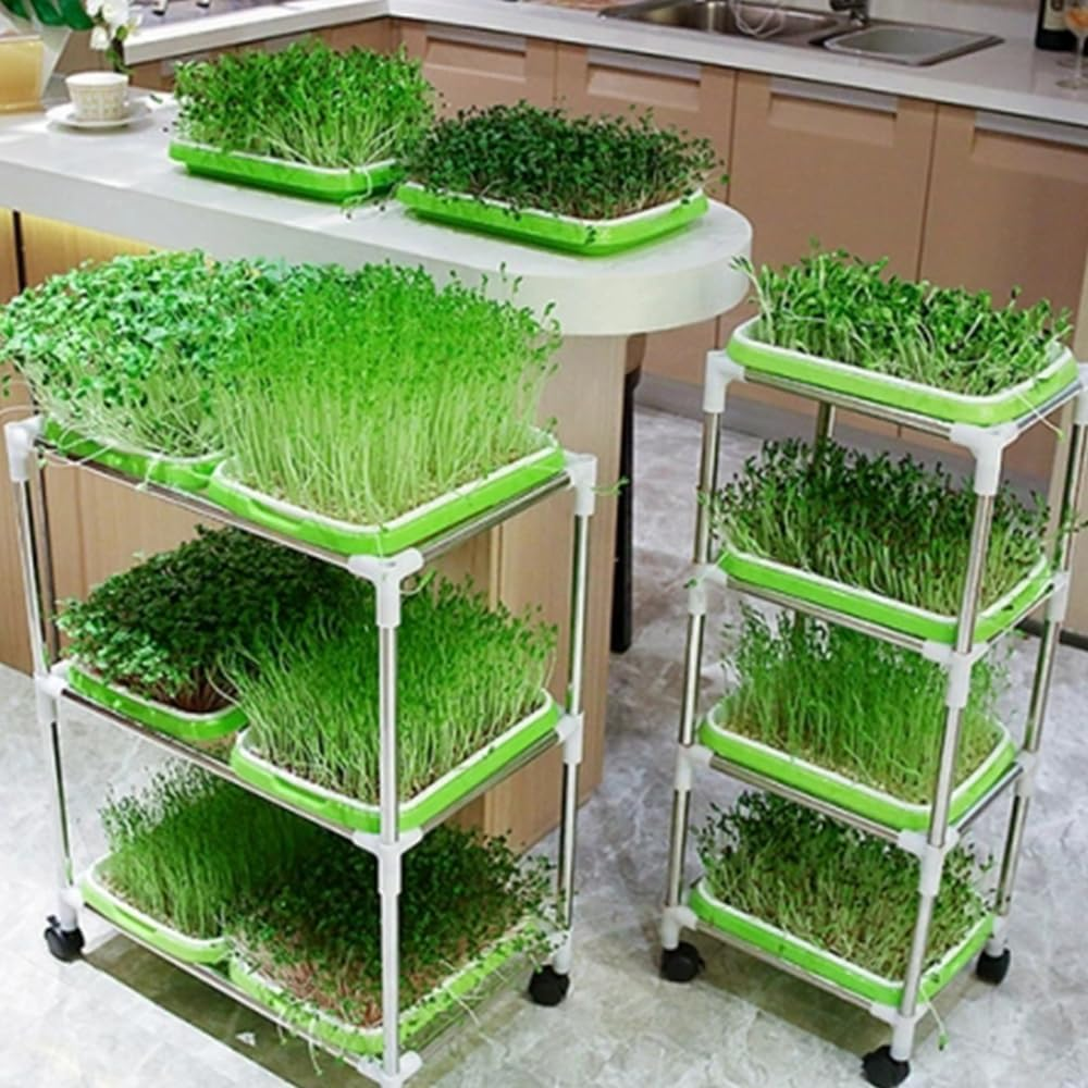 4 Layers Sprouter Trays with Cover Stainless Steel Frame Soil-Free Healthy Wheatgrass Seeds Grower Storage Trays Sprouting Container Kit for Garden Home Office image number 1